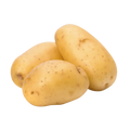 Potato (Aloo)